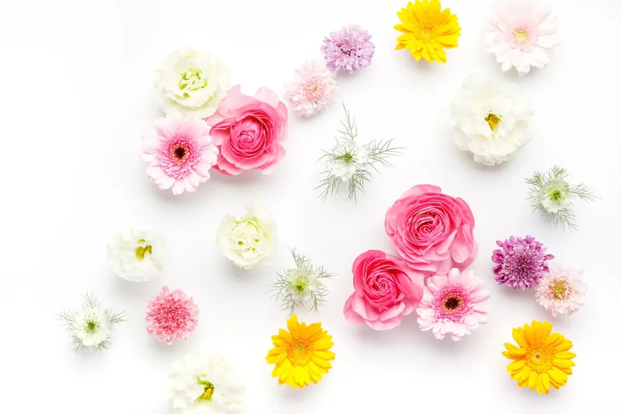 供花・供物